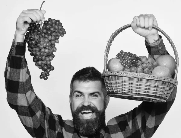 Agricultor con cara feliz presenta manzanas, arándanos y uvas maduras. Un tipo con cosecha. Hombre con barba sostiene cesta con fruta —  Fotos de Stock