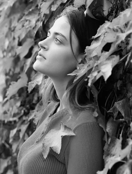 Mujer con la cara de ensueño en la hiedra de otoño hojas de fondo. Dama posando cerca de hojas rojas. Chica con el pelo bonito disfruta de tiempo de otoño. Temporada de otoño —  Fotos de Stock