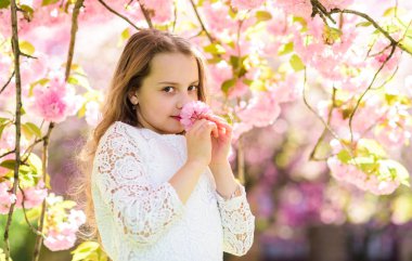 Yüz ayakta sakura çiçekler, defocused yakınındaki gülümseyerek kıza. Parfüm ve koku kavramı. Uzun saçları açık, kiraz çiçeği arka plan üzerinde olan kız. Şirin çocuk zevk sakura kokusu bahar gününde.