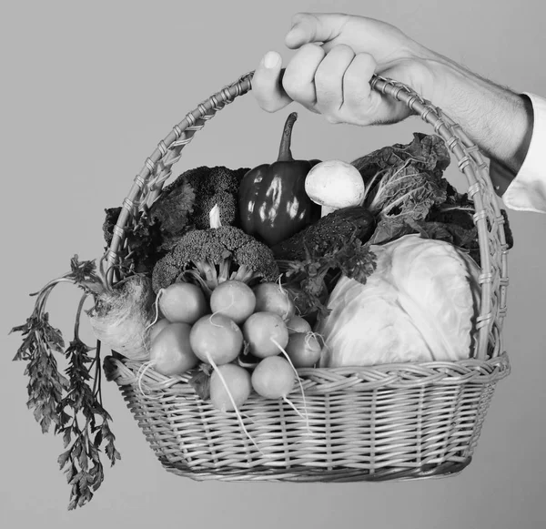 Męskie ręce trzyma warzywa na czerwonym tle. Rolnik posiada, kapusta, rzodkiewka, papryka, brokuły, marchew, grzyb i sałata. — Zdjęcie stockowe