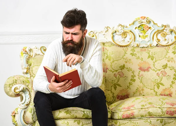 Macho en el libro de lectura de caras concentradas. Escandaloso concepto de best seller. Un tipo leyendo el libro con atención. Hombre con barba y bigote se sienta en el sofá de estilo barroco, sostiene libro, fondo blanco de la pared —  Fotos de Stock