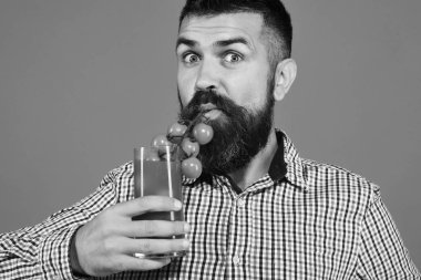 Homegrown hasat adamla. Sakallı adam beyaz arka plan üzerinde izole domates suyu içer. Tarım ve Bahçe kavramı. Sürpriz yüz ile çiftçi