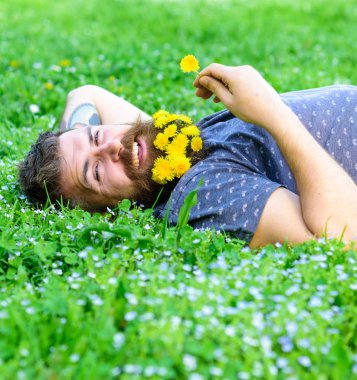 Spa ve sağlıklı yaşam konsepti. Hippi sakal rahatlatıcı dandelions buket. Sakallı adam karahindiba çiçekli çayır, çimen arka plan üzerinde yatıyordu. Sakallı yüzü gülen üzerinde zevk doğa