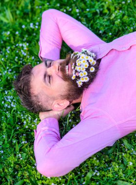 Sakallı yüzü gülen üzerinde doğa keyfini çıkarın. Hippi sakal rahatlatıcı papatyalar buket. Doğa kavramı ile birleştirmek. Papatya çiçekler ile sakallı adam grassplot, çim arka plan üzerinde yatıyordu