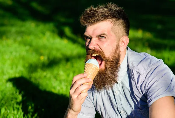 Homem barbudo com cone de gelado. Conceito de tentação. Homem com barba longa come sorvete, enquanto se senta na grama. Homem com barba e bigode no rosto irritado desfrutar de sorvete, grama no fundo, desfocado — Fotografia de Stock