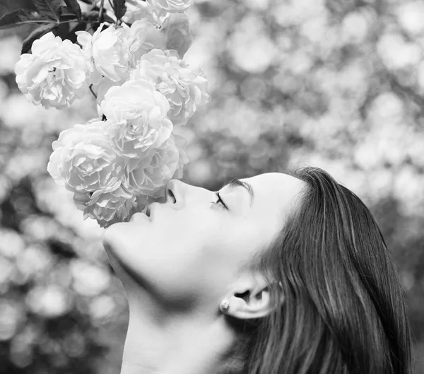 Tender scent and natural beauty. Girl looks at flowers on nature background, defocused. Woman with romantic face sniffs white or ivory roses. Nature and blossom concept.