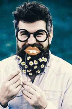 Adam güzel sakal papatya veya papatya çiçekleri ile görünüyor. Uzun Sakal ve bıyık, ufuk yeşil renkli olan adam. Gözlük ve dudakları ile poz hippi neşeli yüzünde. Bahar kavramı