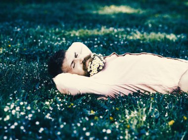 adam sakal daisy çiçeklerle çayır, çimen arka plan üzerinde yatıyordu. Sakallı yüzü gülen üzerinde doğa keyfini çıkarın. Gevşeme kavramı. Hipster sakal rahatlatıcı papatya buketi ile.