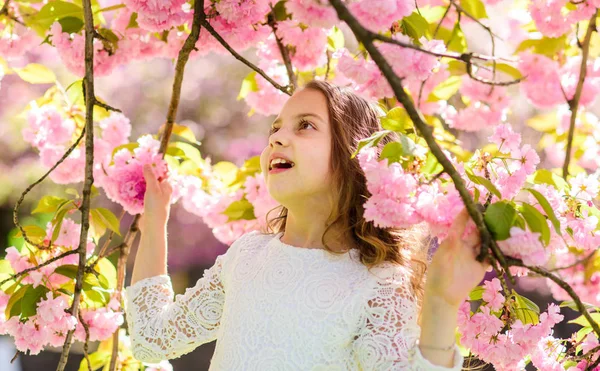 Lány a mosolygó arc állandó sakura ágak, virágok, defocused. Aranyos gyermek élvezze a természetet, a tavasz. Tavaszi virágok koncepció. Lány hosszú haj kültéri, cherry blossom, háttér — Stock Fotó