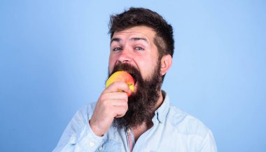 Elma adam diyet beslenme yiyor meyve seviyorum. Sağlıklı beslenme kavramı. Adam yakışıklı hippi uzun sakal yeme apple ile. Hipster aç sulu olgun elma yiyor. Her zaman iyi bir fikir meyve sağlıklı snack