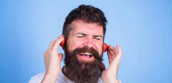 Top des radios estivales. Concept de succès d'été. Guy profiter du son juteux de la musique de la chanson d'été. Barbe hipster écouter de la musique écouteurs fraise. Homme barbu hipster rouge mûr oreilles de fraise comme écouteurs — Photo