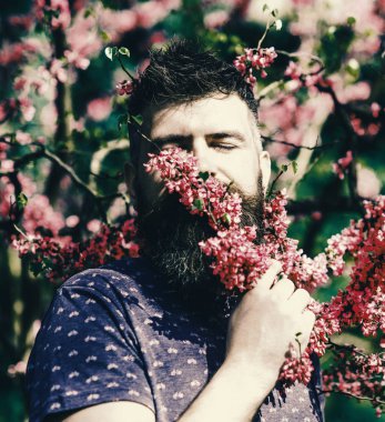 Sakal ve bıyık çiçek güneşli yakınındaki huzurlu yüzünde olan adam. Taze saç kesimi ile sakallı adam erguvan çiçek kokluyor. Huzur kavramı. Hipster menekşe çiçeği kokusu sahiptir