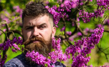 Hipster bahar menekşe çiçeği yakınındaki sahiptir. Sakal ve bıyık çiçek güneşli yakınındaki katı yüzünde olan adam. Erguvan bloom ile poz taze saç kesimi olan sakallı adam. Koku kavramı