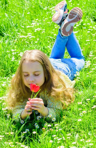 草地、草背景に横になっている長い髪を持つ少女。子供は、草原に横たわっている間チューリップの香りをお楽しみください。春気分のコンセプトです。穏やかな顔の女の子は、日当たりの良い春の日に赤いチューリップの花を保持しています。 — ストック写真