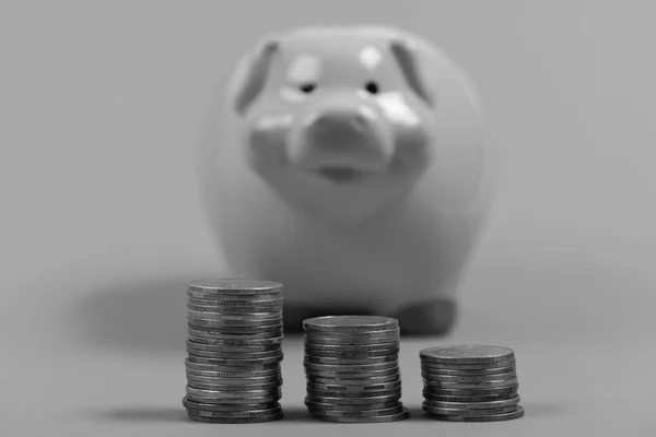 Piggy bank stands next to stacks of coins. Ceramic pig