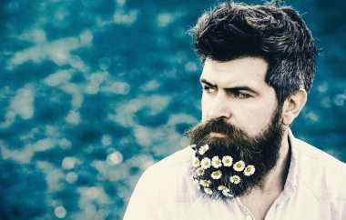 Papatya veya papatya çiçek sakal içinde adam. İle adam sakal ve bıyık zevk bahar, yeşil çayır arka plan. Erkeklik kavramı. Hipster katı yüz, yeşil çim arka plan, kopya alanı.