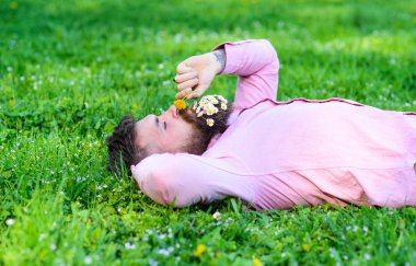 Sakin yüz sakallı adam karahindiba kokluyor. Barış ve huzur kavramı. Sakal rahatlatıcı papatya buketi adamla. Daisy çiçeklerle sakalı sakallı adam grassplot üzerinde yatıyordu, arka plan çimen