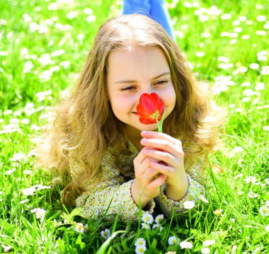 Çimen, grassplot arka plan üzerinde yatan kız. Kırmızı lale çiçek kız güler yüz tutan, aroma zevk. Lale koku kavramı. Çocuk zevk çayır çiçeklerle yatarken bahar güneşli gün