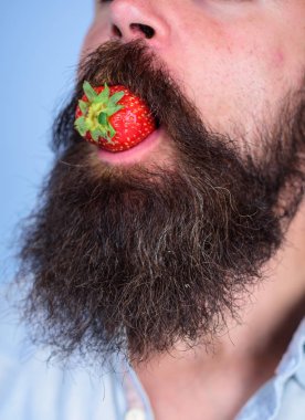 Erkek yüz sakal çilek deneyin. Berry erkek ağız sakal bıyık çevrili. Gastronomik zevk. Adam tatlı çilek yemek, yakın çekim. Arzu kavramı. Oral muamele. Sulu olgun kırmızı çilek keyfini çıkarın