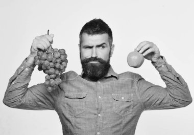 Şarap yapımı ve sakallı grup yeşil üzüm ve elma tutan sonbahar meyve kavramı