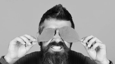 Ekim ve Kasım zaman fikir. Hipster sakal ve deli gizli yüz ile yaprakları ile oynuyor. Sonbahar ve soğuk hava kavramı. Adam çok güzel turuncu arka planda, kopya alanı Sarı kiraz ağacı yaprakları tutar.