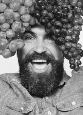 Sakallı adam elinde bir demet siyah ve yeşil üzüm tutuyor.