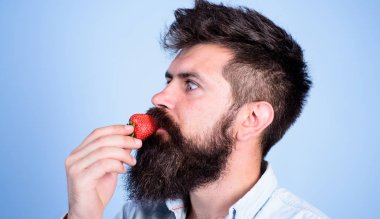 Yani nasıl tadı yaz. Çilek sağlıklı snack. Çilek yemek uzun sakallı adam yakışıklı hippi. Çilek sezon kavramı. Hipster sulu olgun kırmızı çilek tadını çıkarın. Adam berry aroma zevk