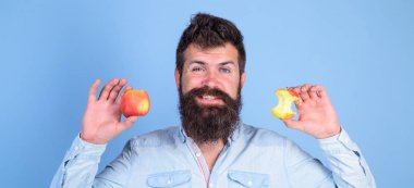 Elma her gün yemek. Meyve sağlıklı yemek saati her zaman iyi bir fikir. Adam yakışıklı hipster uzun sakal olgun elma ve neredeyse yenmiş elma güdük tutar. Adam diyet beslenme meyve yiyor. Mükemmel ve kusur kavramı