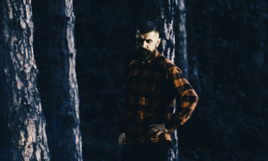 Oduncu kavramı. Adam sakin, yorgun yüz ve ekose gömlekli sakal