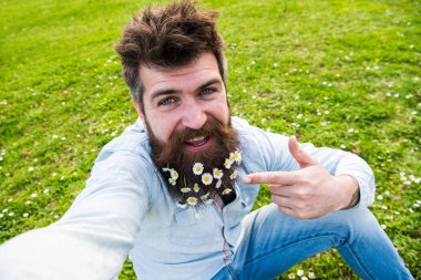 Sakallı bahar, yeşil çayır arka plan sahiptir. Papatya veya papatya çiçek selfie fotoğrafta sakallı adam. Yüz poitnting sakal, gülümseyen üzerinde hippi. Doğal güzellik kavramı