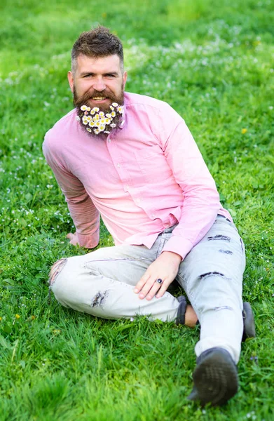 Hombre con barba en la cara sonriente disfrutar de la vida sin alergia. Concepto de alergia de primavera. El hombre barbudo con flores de margarita se sienta en la parcela de hierba, se apoya en la mano, fondo de hierba. Hipster con margaritas se ve feliz — Foto de Stock