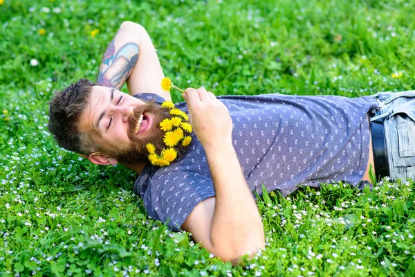 Gülümseyen yüzünde sakalı olan adam baharın tadını çıkarır. Sakallı sakallı, karahindiba çiçekli sakallı adam çayırda, çimen arka planda yatıyordu. Dikkatsizlik konsepti. Sakallı karahindiba buketli hippi dinleniyor.