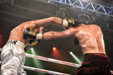 Kiev, Ukrayna - 16 Eylül 2017: Sparta boks Haritayı dahil altı sıralaması mücadele. Milli Güvenlik'Olimpiyskiy, Kiev, Ukrayna sıralaması için kavga sırasında halka tanımlanamayan bir boksörler