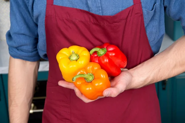 Taze biber sebze elinde Şef. Çeşitlilik malzemeler. Pik sezon satın alma daha lezzetli sebze olun. Mevsim sebzeleri maddeler başka bir seviyeye ortalama yemek alabilir