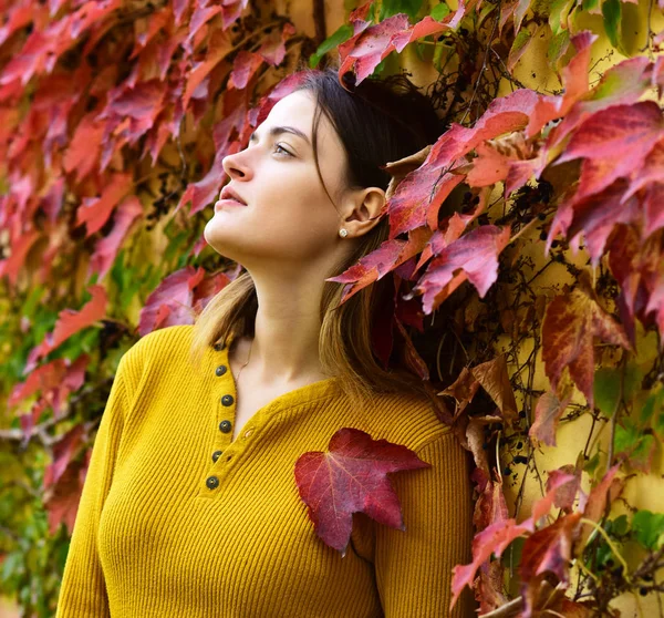 Herbstzeit und Schönheitskonzept. Frau mit verträumtem Gesicht — Stockfoto