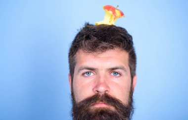 Adam yakışıklı hipster uzun sakal neredeyse kafasına elma güdük hedef olarak yem. Kilo kaybı gol. Hipster sakin yorgun yüz baş mavi arka plan, elma güdük hedef ile kapatın. Canlı hedef kavramı
