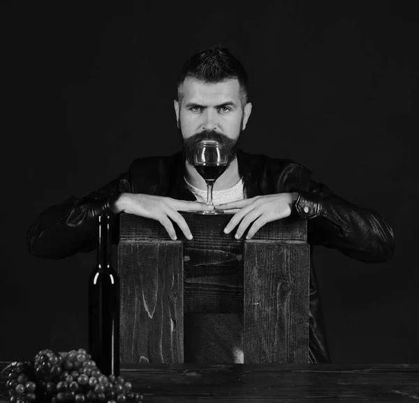 Чоловік з бородою тримає келих на коричневому тлі. Дегустатор з серйозним обличчям спирається на стілець за пляшкою вина — стокове фото