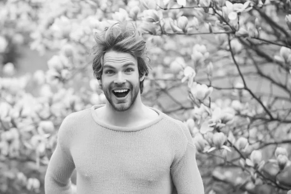 Bahar sezonu kavramı. Yeni bir hayat ve iyimserlik. Bayındır, Doğa, büyüme