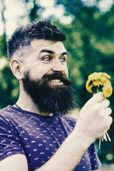 Skäggig man innehar gula maskrosor. Romantiska hipster gjort bukett, gröna natur bakgrund, oskärpa. Romantiska koncept. Mannen med skägg och mustasch på glada ansikte innehar bukett maskrosor — Stockfoto