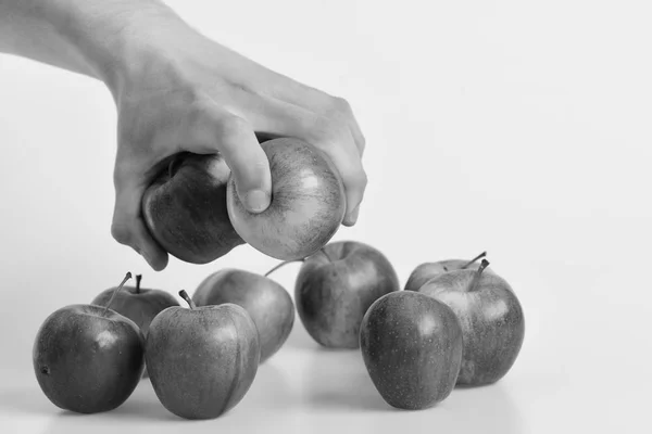 Grupo de manzanas colocadas sobre fondo gris claro. Manzanas en color fresco y jugoso. Vitaminas y concepto fitness . — Foto de Stock