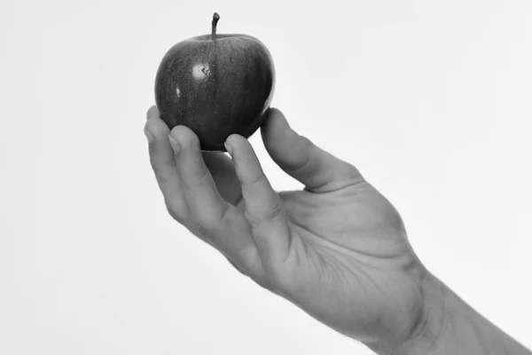 Fruto de manzana aislado sobre fondo gris claro. La mano masculina sostiene la manzana roja. Manzana en color jugoso brillante — Foto de Stock