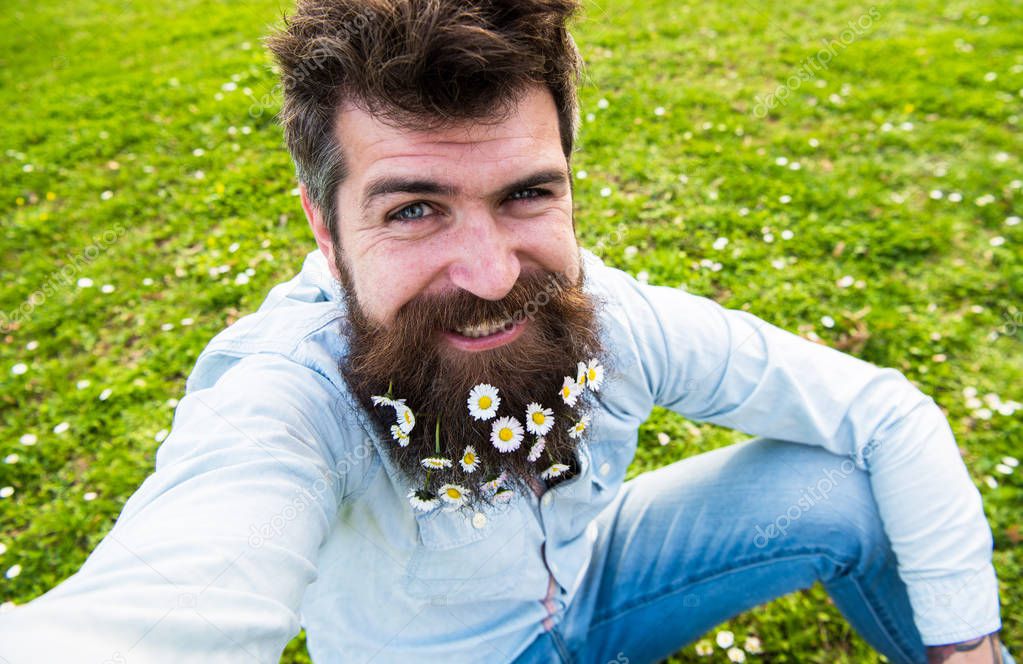 Hipster on smiling face sits on grass, defocused. Natural beauty concept. Man with beard enjoys spring, green meadow background. Guy with daisy or chamomile flowers in beard taking selfie photo