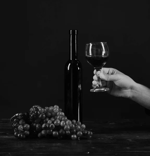 Weinprobe und Degustation Stillleben Konzept. Komposition von Bordeaux oder Cabernet. Flasche und Glas Wein auf dunkelbraunem Hintergrund. — Stockfoto