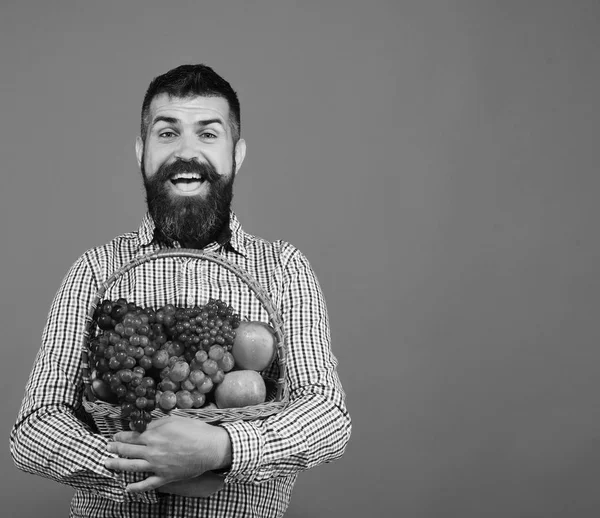 Mann hält seine Ernte. Landwirtschafts- und Gartenkonzept. Bauer mit fröhlichem Gesicht präsentiert Äpfel, Trauben und Preiselbeeren — Stockfoto