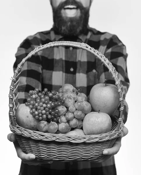 Hombre con barba sostiene cesta con fruta aislada sobre fondo blanco, desenfocada. Agricultor con sonrisa presenta manzanas, uvas y arándanos . —  Fotos de Stock