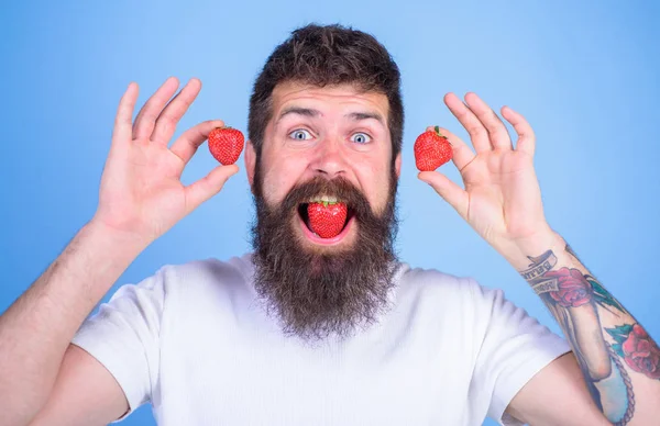 Böğürtlen dudaklı sakallı hippi. Ne yersek oyuz. Çilekli tatlı tat konsepti. Yakışıklı hippi uzun sakallı adam çilek yer. Hippi mutluluğu sulu çileğin tadını çıkarır. Erkekler böğürtlen tadını sever