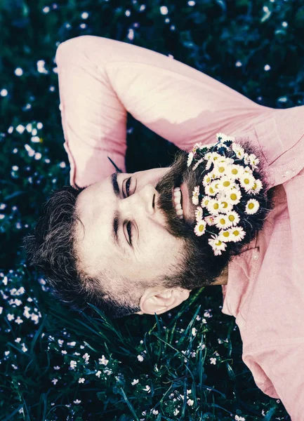 Unir-se com o conceito de natureza. Homem barbudo com flores de margarida jazia no gramado, fundo de grama. Homem com barba no rosto sorridente desfrutar da natureza. Hipster com buquê de margaridas em barba relaxante — Fotografia de Stock