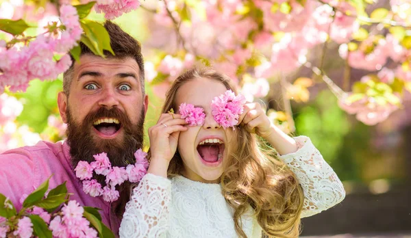 Baba ve kızı mutlu yüz çiçeklerle gözlük, sakura arka plan oynamak. Çocuk ve adam sakal ihale pembe çiçekli. Baba sakura çiçekler bahar gününde yanında olan kız. Aile zamanı concep — Stok fotoğraf