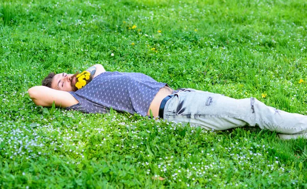 Sakal karahindiba çiçeklerle sakallı adam çayır, çimen arka plan üzerinde yatıyordu. Bahar kavramı. Hippi sakal rahatlatıcı dandelions buket. Sakallı yüzü uyku üzerinde zevk bahar