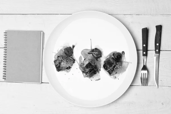 Filet de poisson avec légumes et croustilles au fromage sur assiette. — Photo